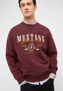 Sweatshirt Style Auburn